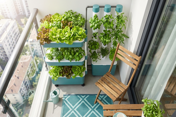 Como Planejar uma Horta Hidropônica Funcional em Apartamentos Pequenos